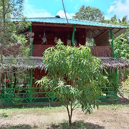 Lion Eco Palace Sigiriya Exterior foto