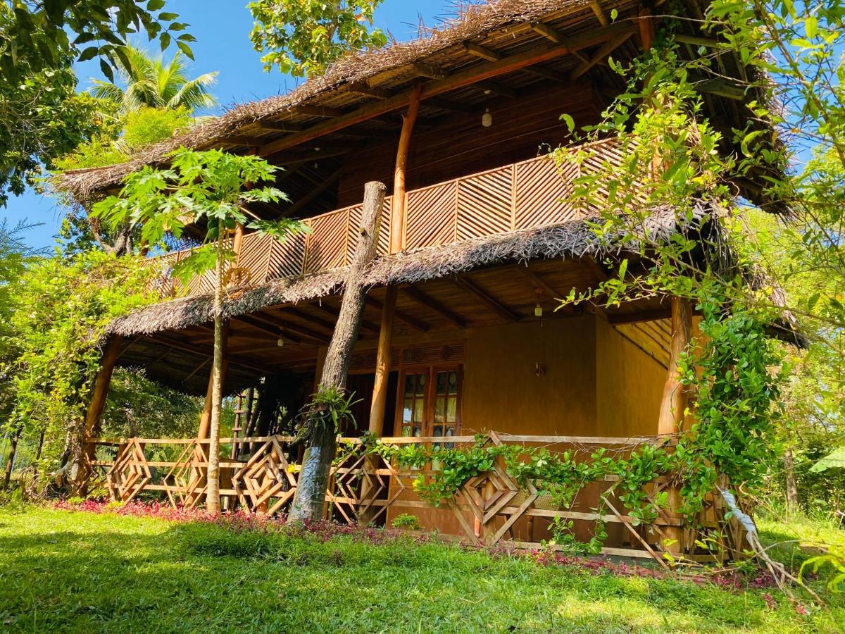 Lion Eco Palace Sigiriya Exterior foto