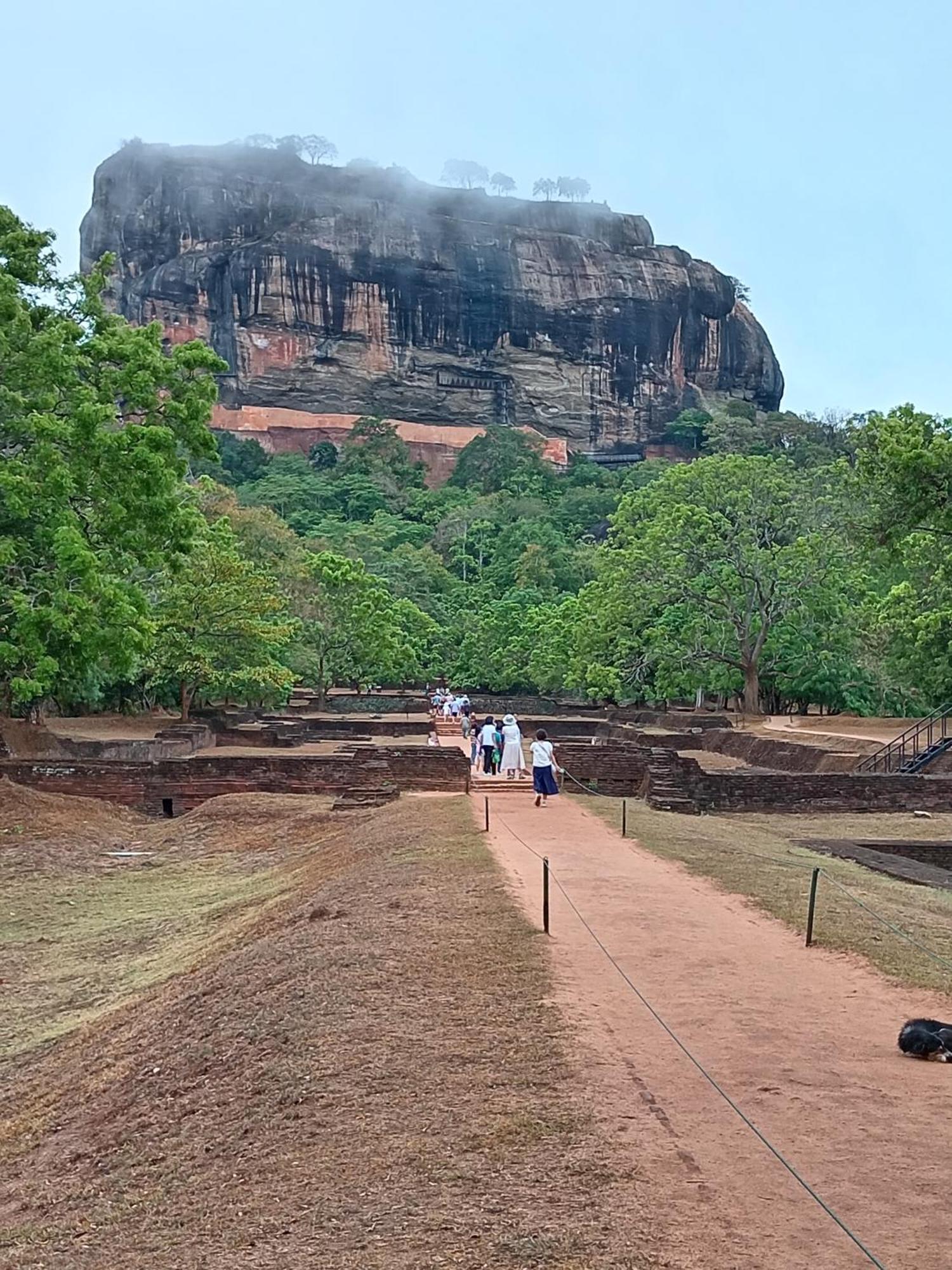 Lion Eco Palace Sigiriya Exterior foto
